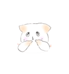 しらたまにゃんこちゃん（個別スタンプ：30）
