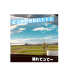 これが、日常なのだよ。（個別スタンプ：16）