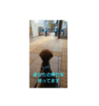日常編(友達Vr)（個別スタンプ：2）
