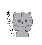 しまねこみーすけスタンプ 日常編（個別スタンプ：5）