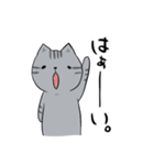 しまねこみーすけスタンプ 日常編（個別スタンプ：12）