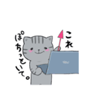 しまねこみーすけスタンプ 日常編（個別スタンプ：15）