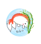 らんちゅう（金魚）のちゅちゅさん（個別スタンプ：1）