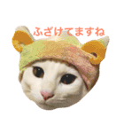 白猫しらす。（個別スタンプ：6）