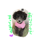 やんちゃ犬むーん（個別スタンプ：4）
