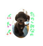 やんちゃ犬むーん（個別スタンプ：5）