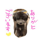やんちゃ犬むーん（個別スタンプ：6）
