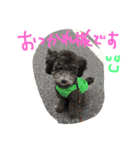 やんちゃ犬むーん（個別スタンプ：7）