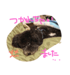 やんちゃ犬むーん（個別スタンプ：9）