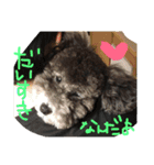 やんちゃ犬むーん（個別スタンプ：11）