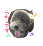 やんちゃ犬むーん（個別スタンプ：15）