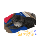 やんちゃ犬むーん（個別スタンプ：16）