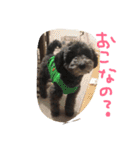 やんちゃ犬むーん（個別スタンプ：18）