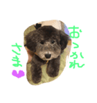 やんちゃ犬むーん（個別スタンプ：21）