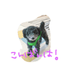 やんちゃ犬むーん（個別スタンプ：22）