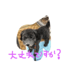 やんちゃ犬むーん（個別スタンプ：23）