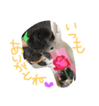 やんちゃ犬むーん（個別スタンプ：26）