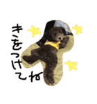 やんちゃ犬むーん（個別スタンプ：27）