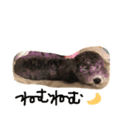 やんちゃ犬むーん（個別スタンプ：30）