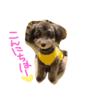 やんちゃ犬むーん（個別スタンプ：31）