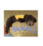 やんちゃ犬むーん（個別スタンプ：32）