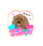 日常会話に想いを込めて伝えられるスタンプ（個別スタンプ：2）