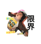たんのきょうだい 1（個別スタンプ：31）