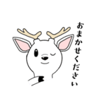 ホワイト歯科のシカです。（個別スタンプ：13）