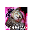 ちーちゃんととこちゃん（個別スタンプ：3）