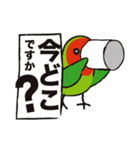 インコたち2（個別スタンプ：11）