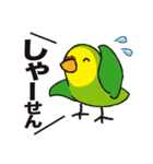 インコたち2（個別スタンプ：31）