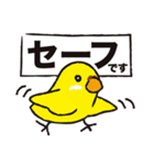 インコたち2（個別スタンプ：33）