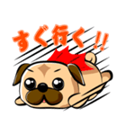 日常で使える！パグスタンプ（個別スタンプ：35）