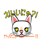 白猫の日常会話スタンプ（個別スタンプ：3）