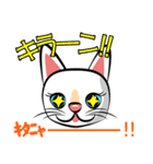 白猫の日常会話スタンプ（個別スタンプ：10）