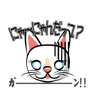 白猫の日常会話スタンプ（個別スタンプ：13）