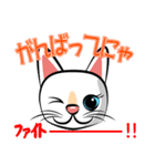 白猫の日常会話スタンプ（個別スタンプ：17）