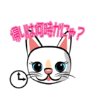 白猫の日常会話スタンプ（個別スタンプ：24）