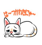 白猫の日常会話スタンプ（個別スタンプ：34）