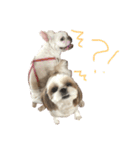 私の可愛い娘達です！！！！！（個別スタンプ：19）