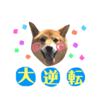 柴犬なな 野球応援2（個別スタンプ：3）