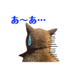 柴犬なな 野球応援2（個別スタンプ：13）