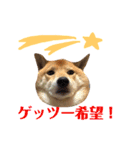 柴犬なな 野球応援2（個別スタンプ：15）