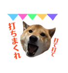 柴犬なな 野球応援2（個別スタンプ：16）