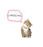 ぶちゃ2（個別スタンプ：4）