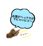 ぶちゃ2（個別スタンプ：10）