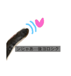 あ太郎くんと小太郎くんの日常（個別スタンプ：6）