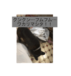 あ太郎くんと小太郎くんの日常（個別スタンプ：9）