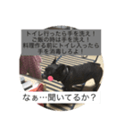 あ太郎くんと小太郎くんの日常（個別スタンプ：10）