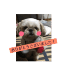 あ太郎くんと小太郎くんの日常（個別スタンプ：11）